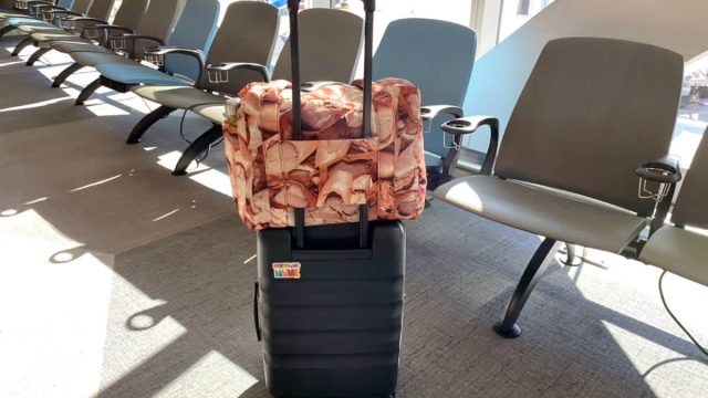 The Essential Carry-On for Mod