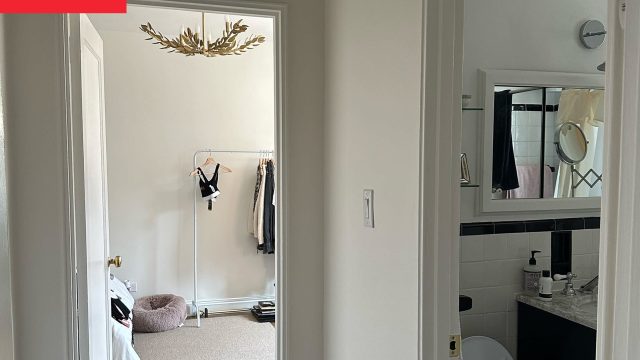 Transforming Small Spaces: The Impact of Bold Design Choices