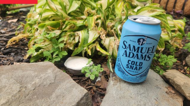 Innovative Garden Solutions: How Beer Can Keep Slugs Away