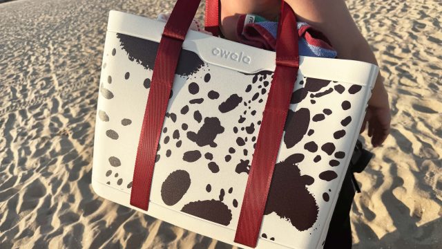 Revolutionizing Beach Days: The Rise of Innovative Tote Bags