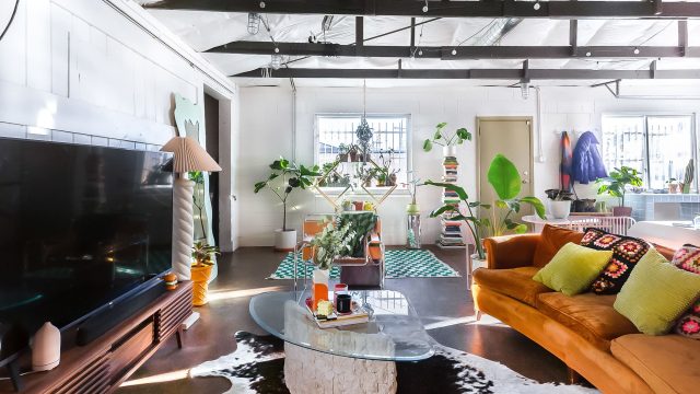 Why Animal-Shaped Rugs Are Essential for Every Adult Space