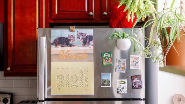 Innovative Kitchen Hacks: Maximizing Space with Budget Solutions