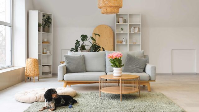 Unlock Huge Savings: Early Labor Day Sales You Can't Miss