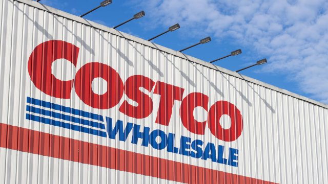 Elevate Your Space: Affordable Floating Orchids from Costco