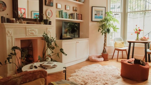 Unveiling Massive Discounts on Rugs: Prepare for Labor Day Savings