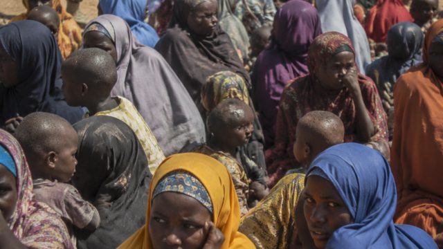 Zamfara's Hostage Crisis: The Call for Action Grows Louder | situs online bola, crickex casino, slot
