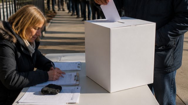 New York's Primary Elections: Analyzing the Stakes and Impact | hokiom88, situs slot gacor malam har