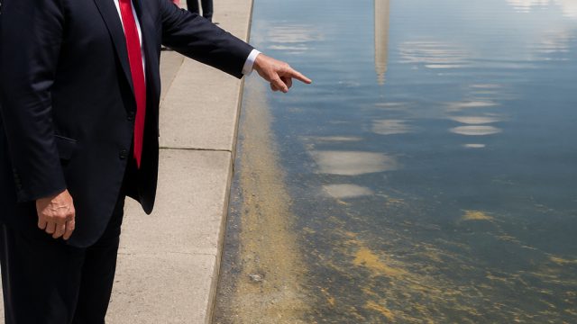 Trump Claims Vandalism at Reflecting Pool: A Closer Look at the Evidence | paket indihome piala duni