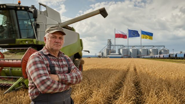 The Implications of Ukraine's EU Membership on Poland's Agriculture | gacor gaming, daftar situs slo