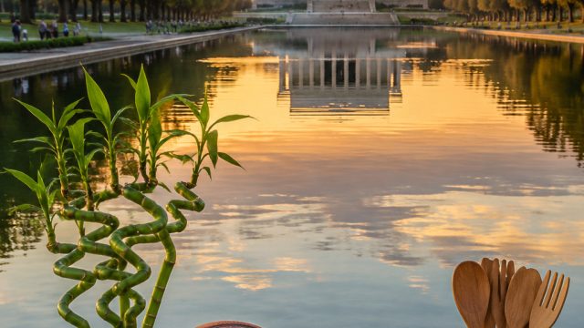 New Developments Surrounding Lincoln Memorial Reflecting Pool Incident | football prediction platfor