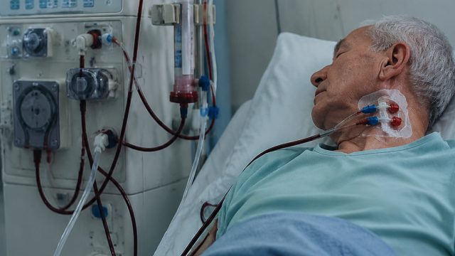 Investigation Launched After Fatal Incident Linked to Dialysis Port | dewagame88 link alternatif, ne
