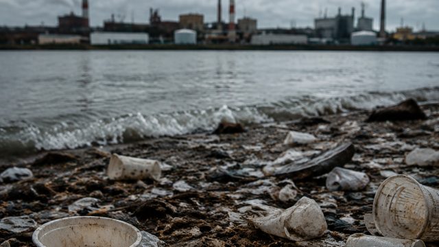 Global Brands Under Fire for Environmental Negligence | rtp dragon222, game remi leng, live draw sgp
