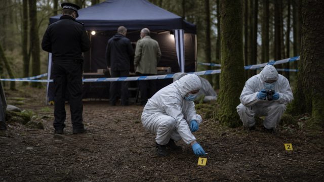 Murder Trial Unfolds: Shocking Crimes in the Woods of Cornwall | dpoin, 303 slot, rimar indonesian i